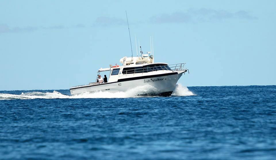 Gallery - Southern Fishing Charters